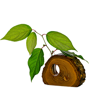 がんね栗の一輪挿し